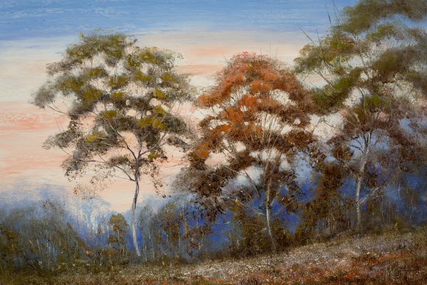 Edge Of The Forest