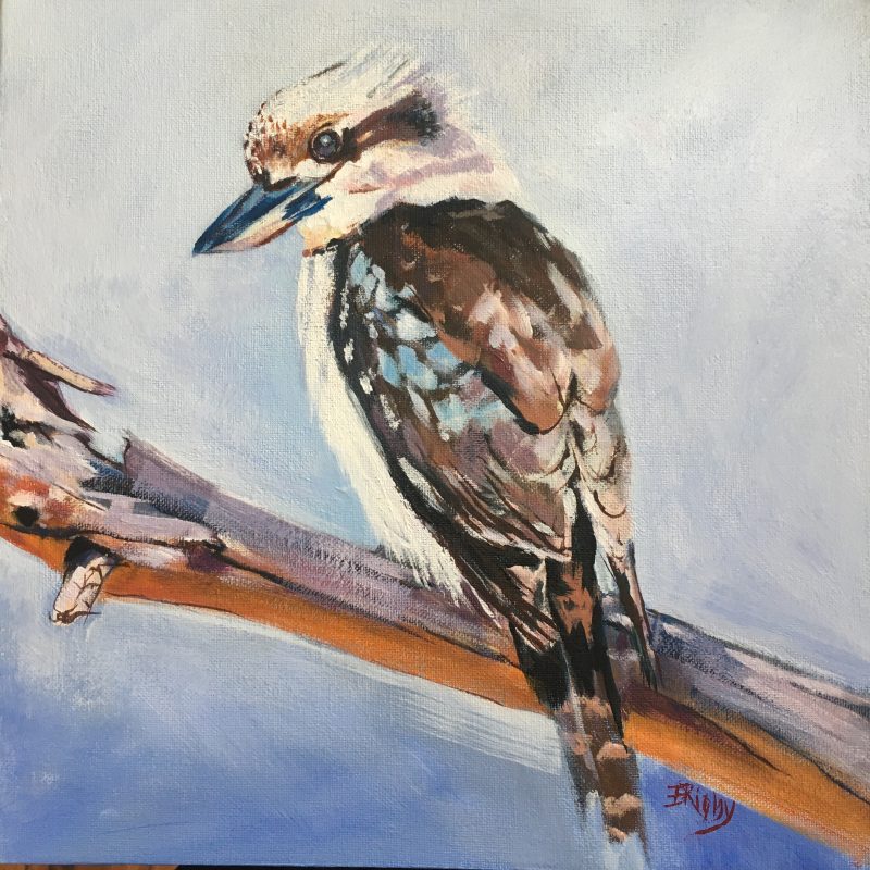 Kookaburra Sits in the Old Gum Tree