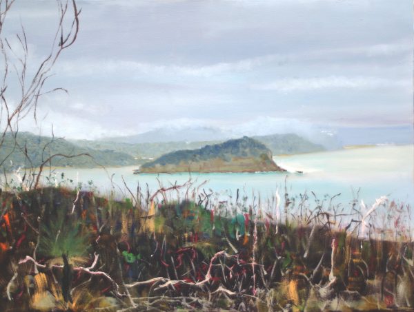 Lion Island From Barrenjoey Small