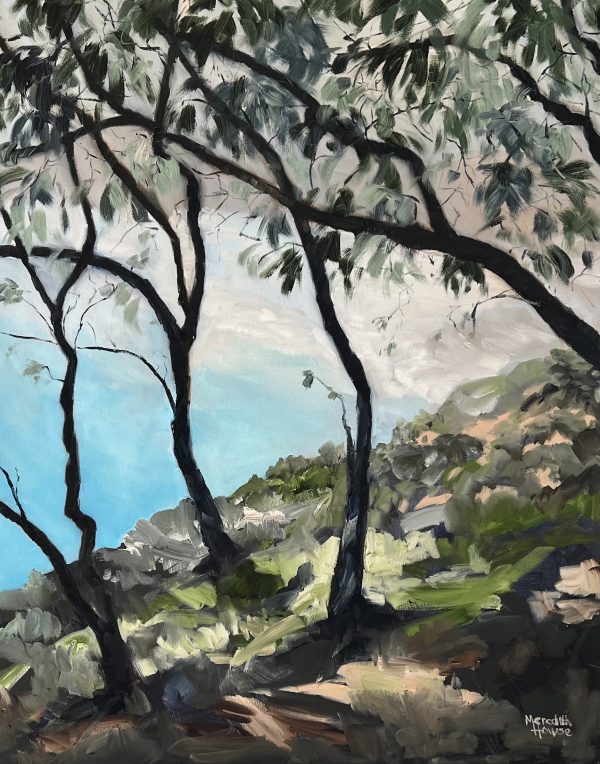 Main Beach At Straddie By Meredith Howse
