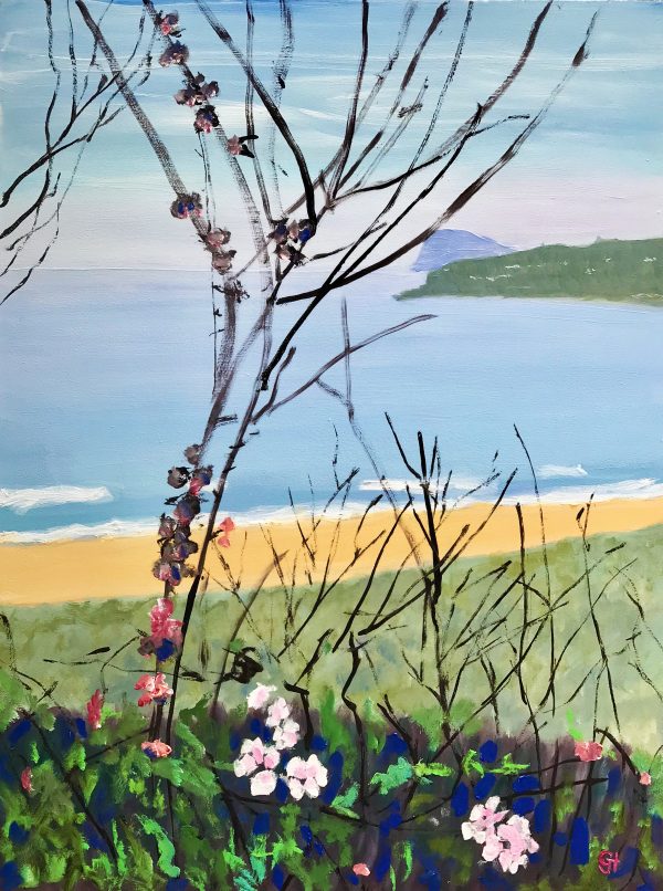 Palm Beach, View From Barrenjoey Track Ps