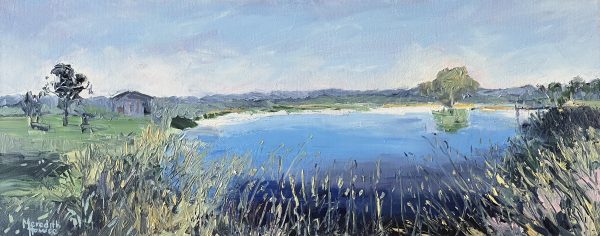 Reflections On Vineyard Dam Mudgee By Meredith Howse