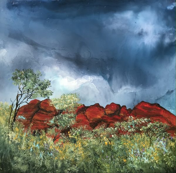 Wildflowers Of The Kata Tjuta