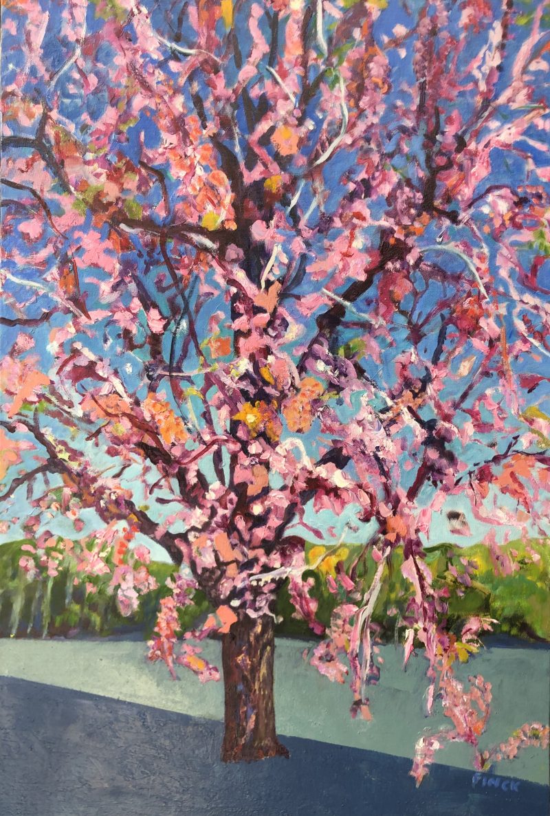 Blossom On Edinburgh Street