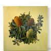 Green Banksia Painting