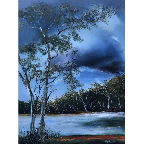 Meg Lewer Waiting For The Warrigal