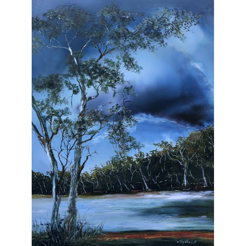 Waiting For The Warrigal