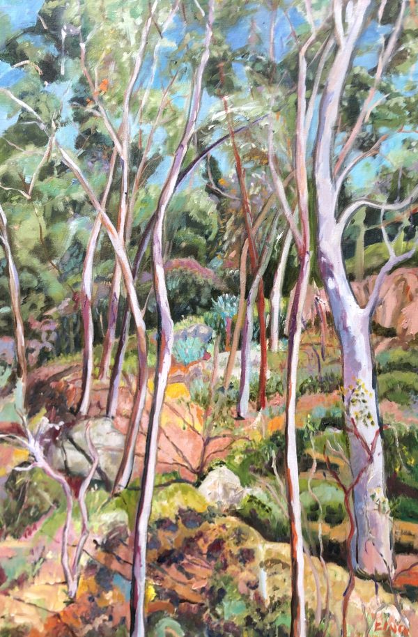 Morialta Falls Landscape 3