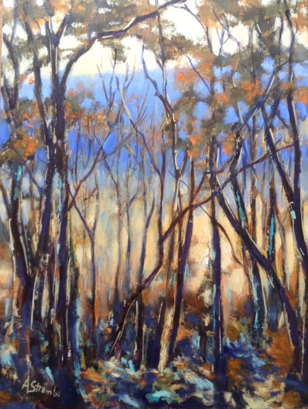 Mt Tamborine 2 Larger File Best