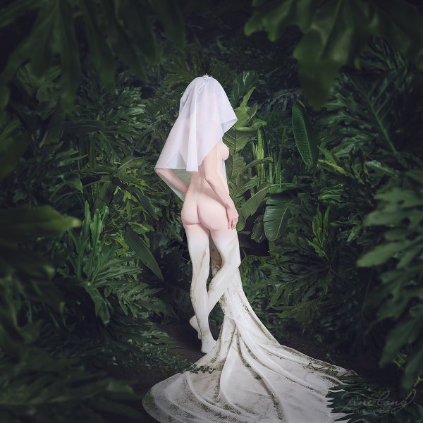 Philodendron Tones 1200px Wm1