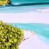 Whitsundays Whitehaven Beach Songbird Designz Deborah Lang Beach Bay Beachscene Canvas Wall Art Contemporary Coastal Hamptons Style 4