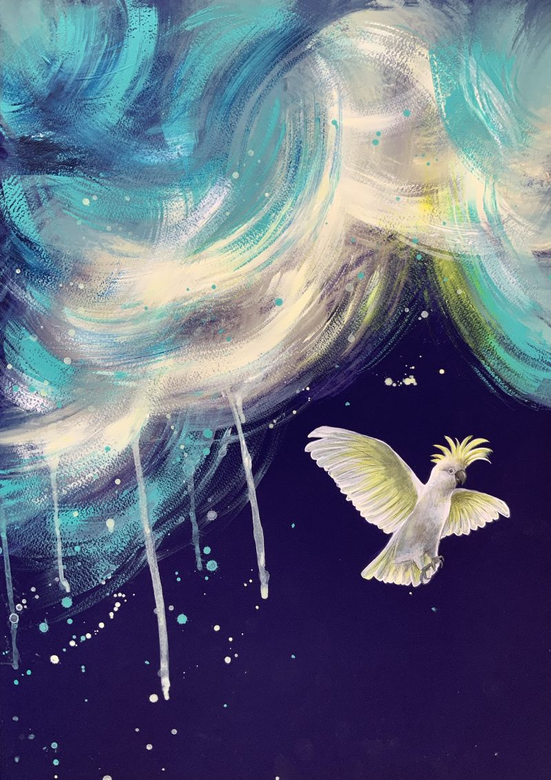 Cockatoo Spirit In the Clouds