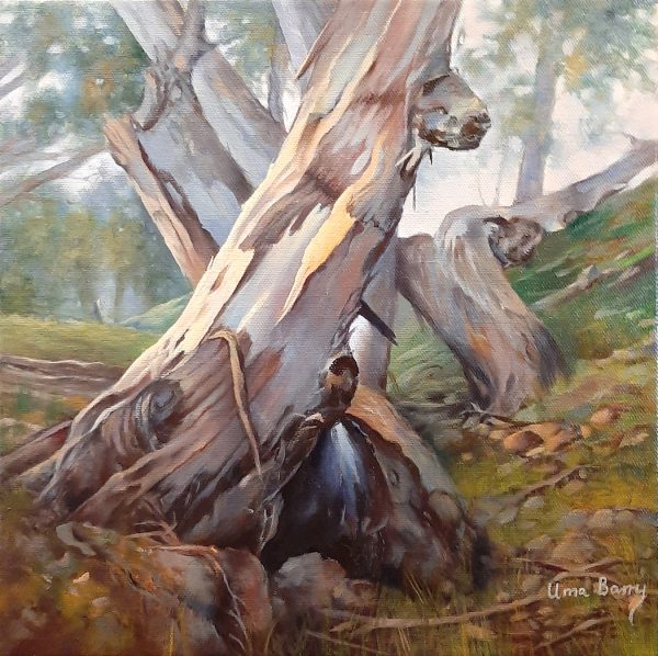 20211027 143624edit Lighter Copy.