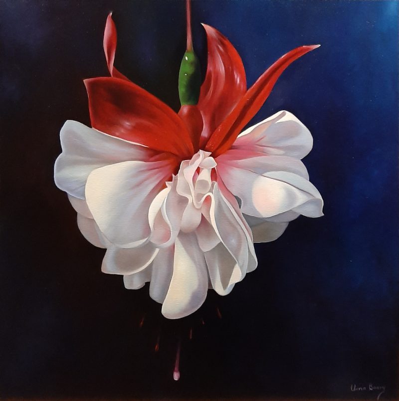 Swingtime, Fuchsia of Elegance