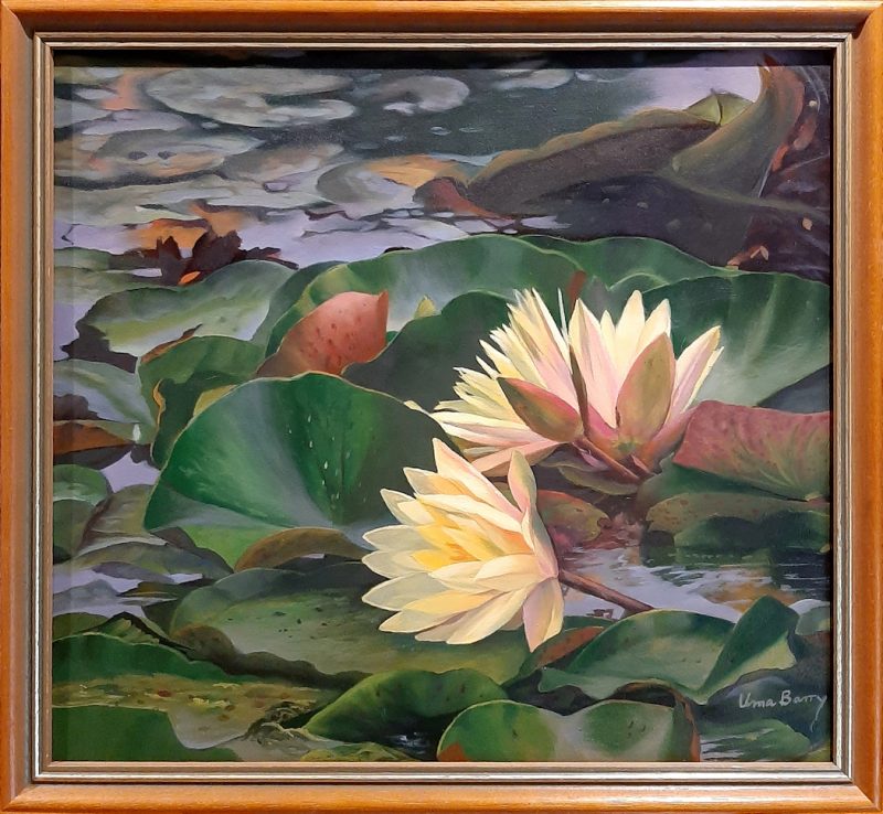 Water lilies of delight