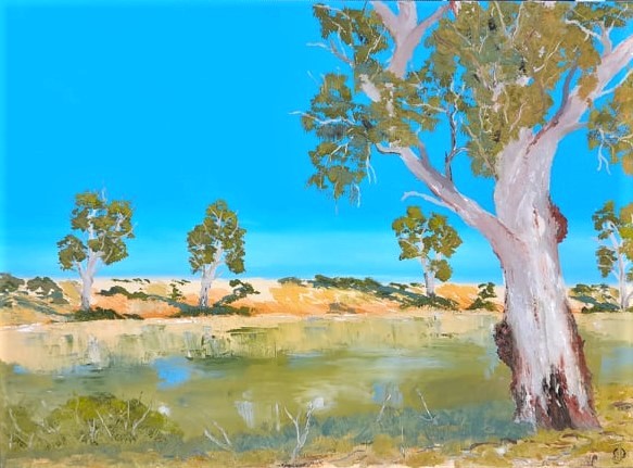 Flinders Rangers Creek