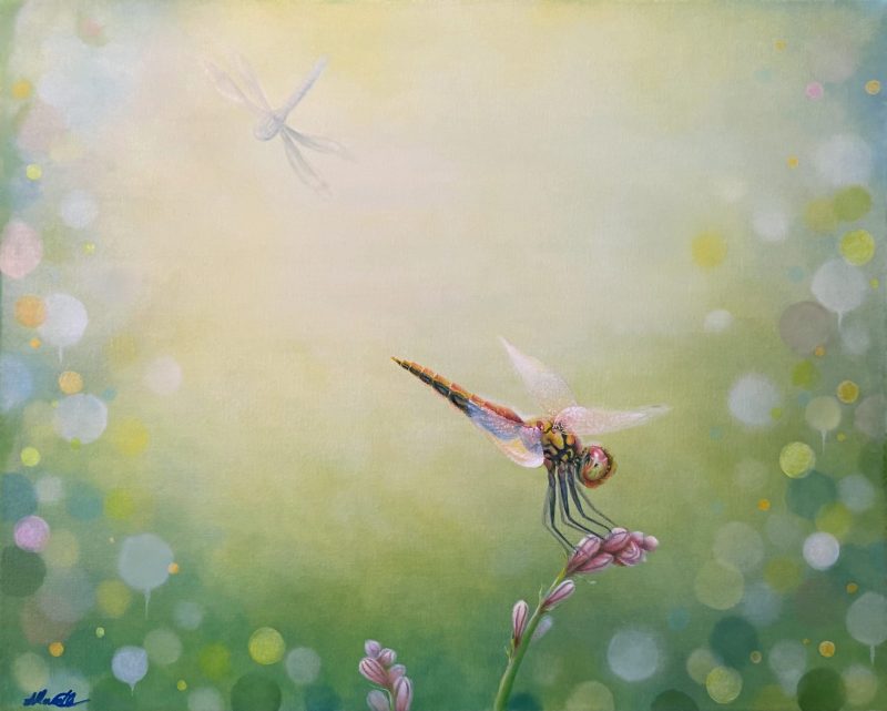 Dragonfly Delight