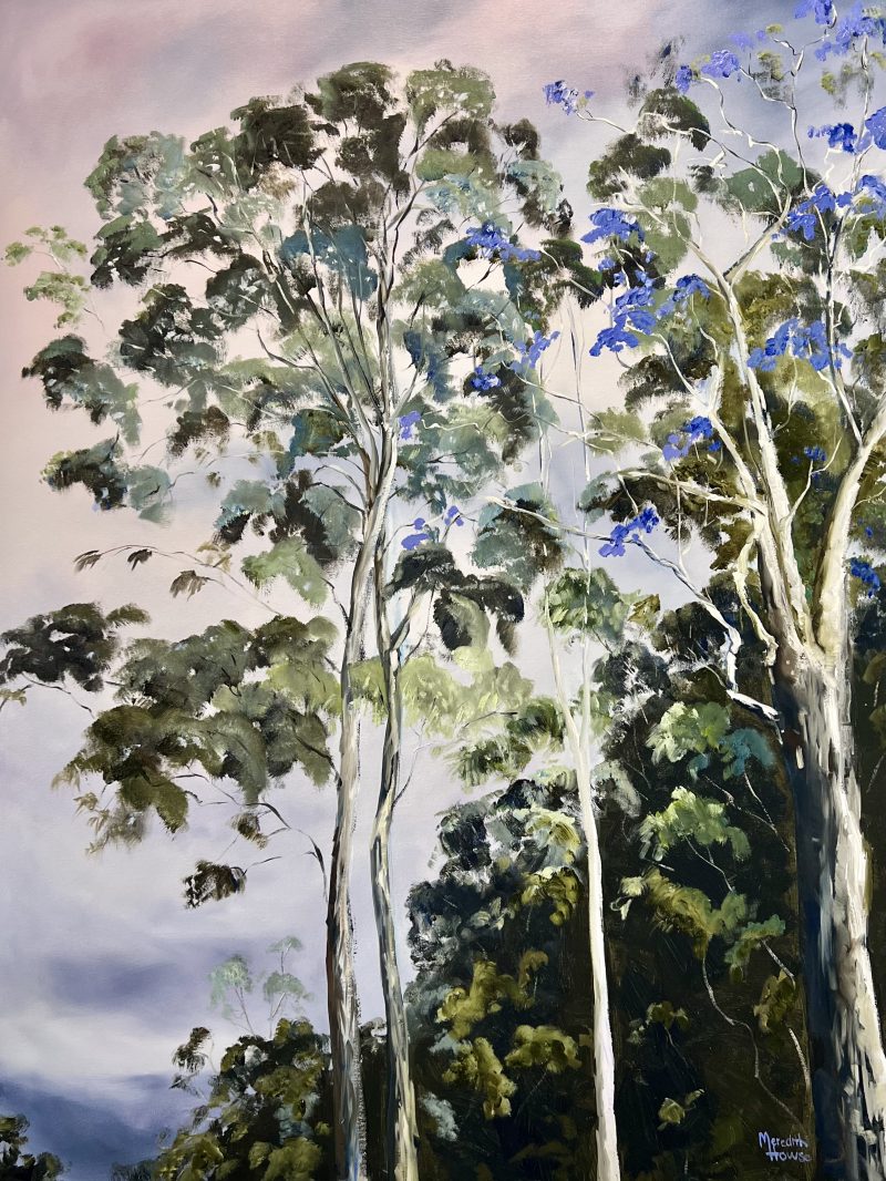 Illumination of Jacaranda