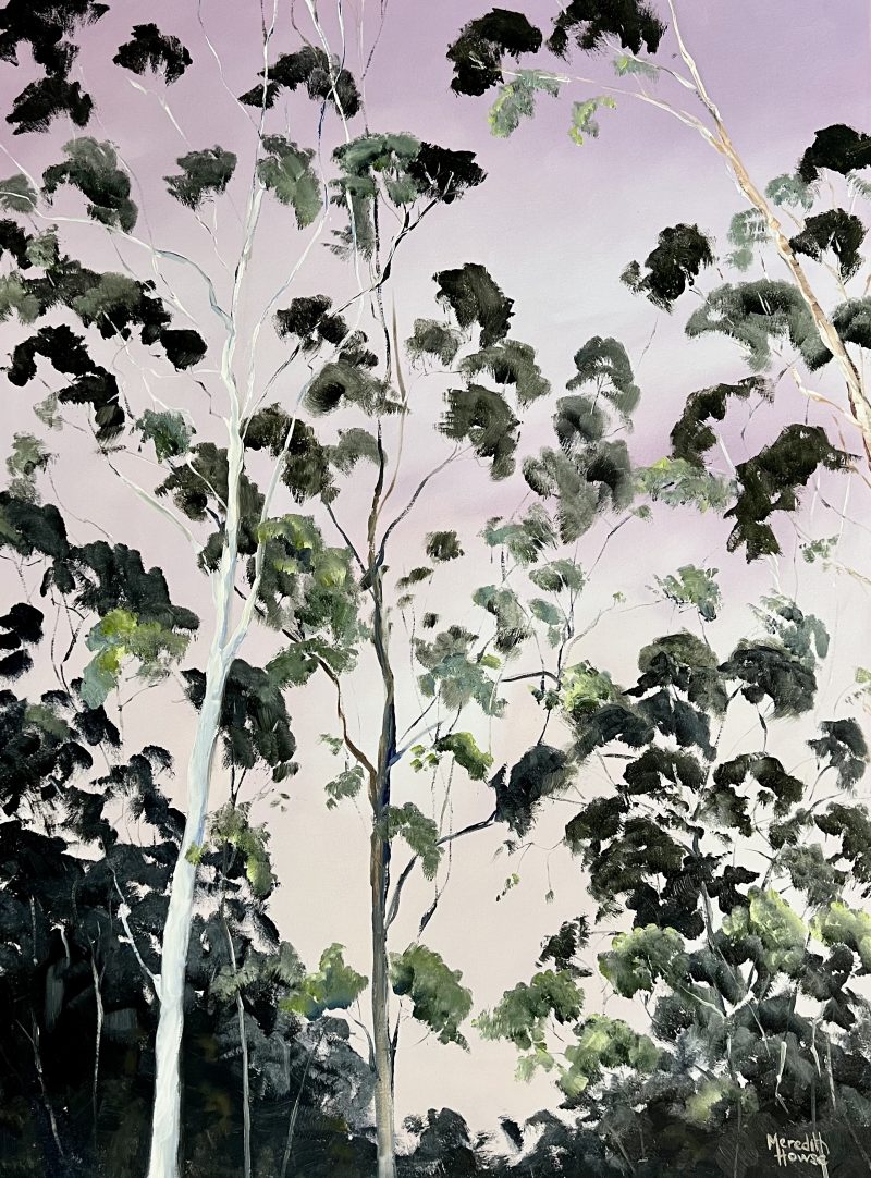 Illumination of Gum Tree