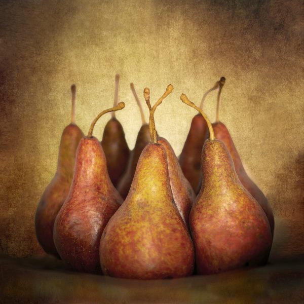 Boscpears283abcde