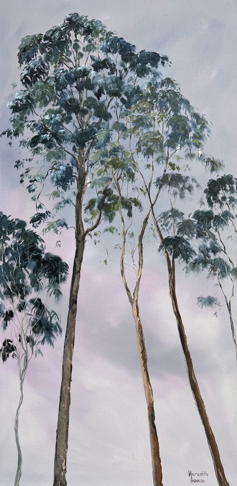 Illumination Trees of Stuartholme