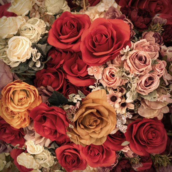 Di Red Hat Flowers2softvignette2a