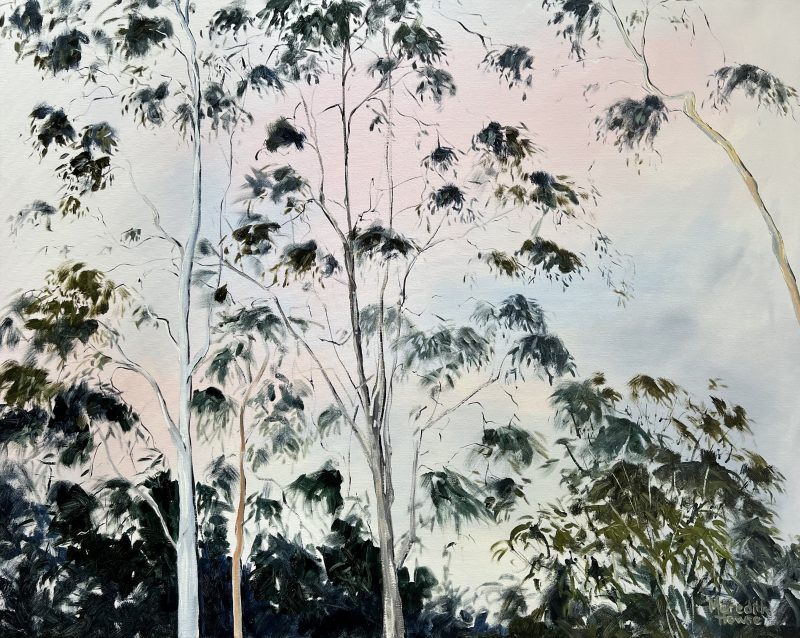 Illumination of White Gum Tree