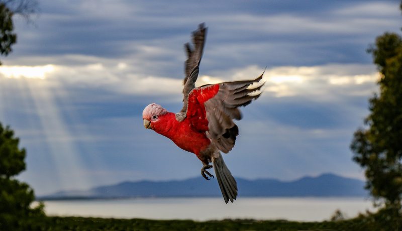 Heavenly Creature in a Heavenly Place