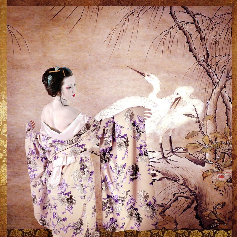 The Geisha and the Herons