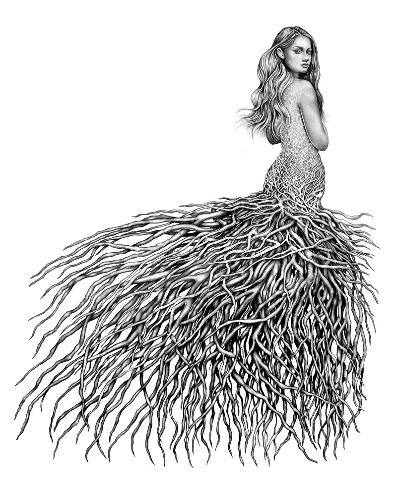 Driftwood Trance Fine Art Print