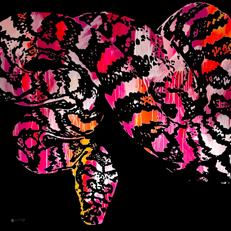 Stevie // Snake Series