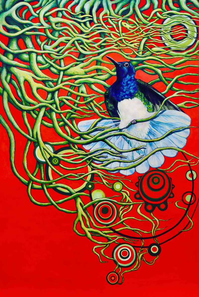 The Hummingbird Fine Art Print