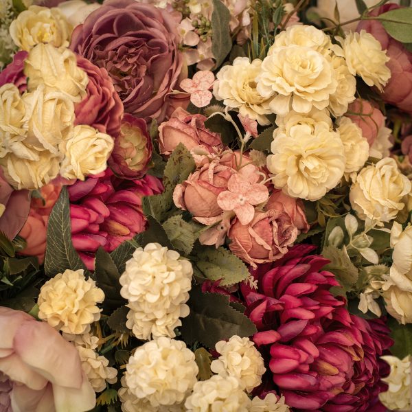 Whitehat1soft Vignette