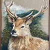 Deer In The Hills
