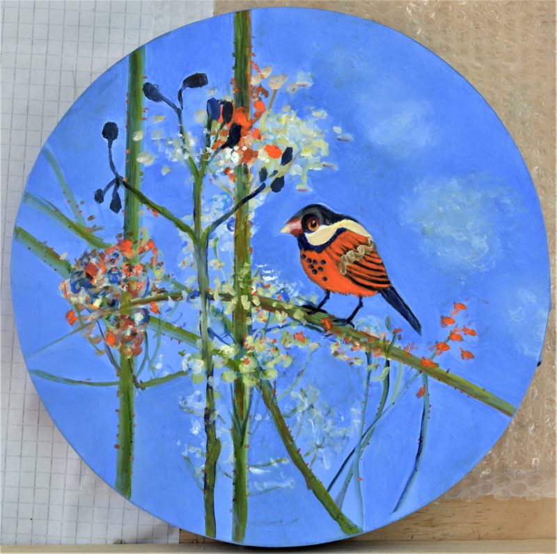 Quirky birds – Commissions welcome