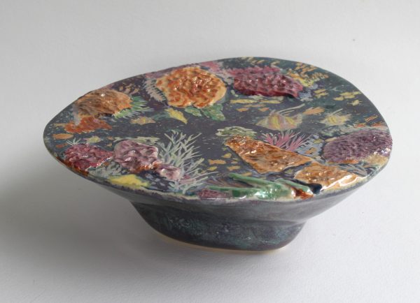 Reef Life 1 Carol Forster Art Lovers Australia