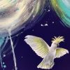 Sydney Artist Leni Kae Closeup Cockatoo Spirit In The Clouds