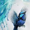 Sydney Artist Leni Kae Closeup Fairy Wren In The Clouds