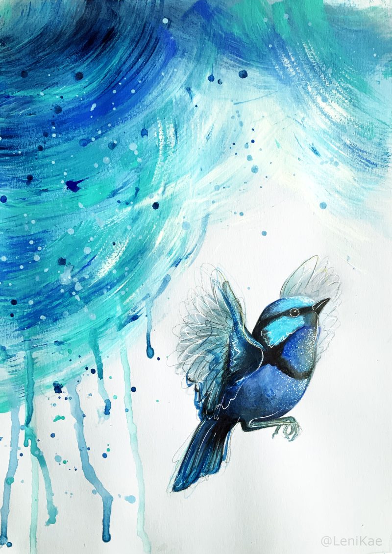 Fairy Wren In the Clouds