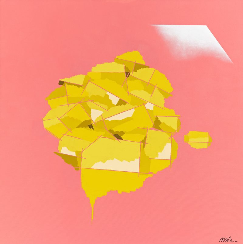 005 Snappr Martin Artworks 1 800x803 (1)