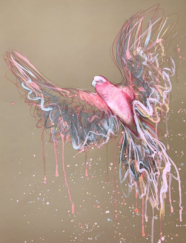 2.artist Leni Kae Spirit Of The Galah Painting On Paper Art 734x1024