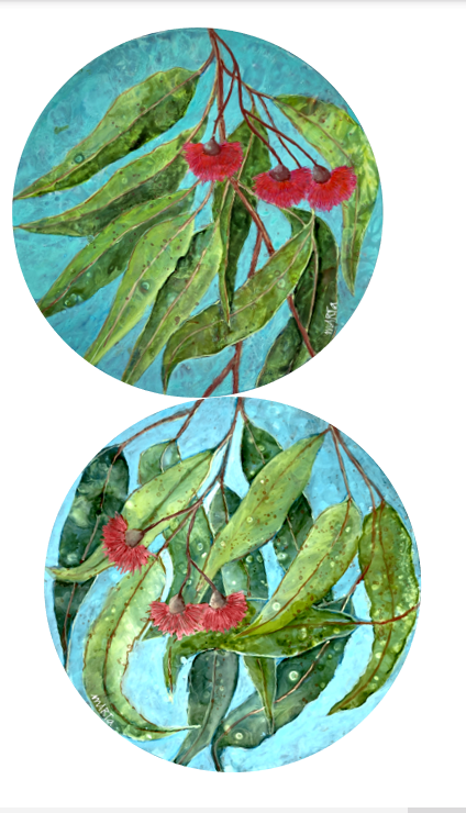 Australian Bush Flowers – Diptych