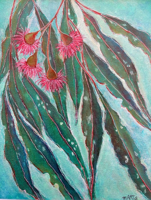 234. Red Flowering Gum