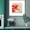 Abstract Anemone Flower Framed Print Bernadette Meyers Art Lovers Australia