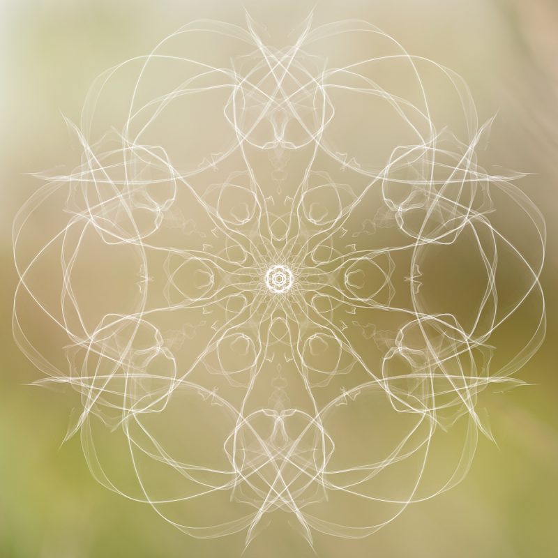 Botanical Symmetry – Green — Ltd Ed Print