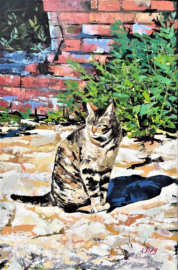 Cat In Rome