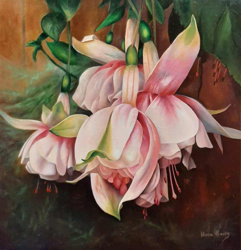 Cluster of exotic fuchsia