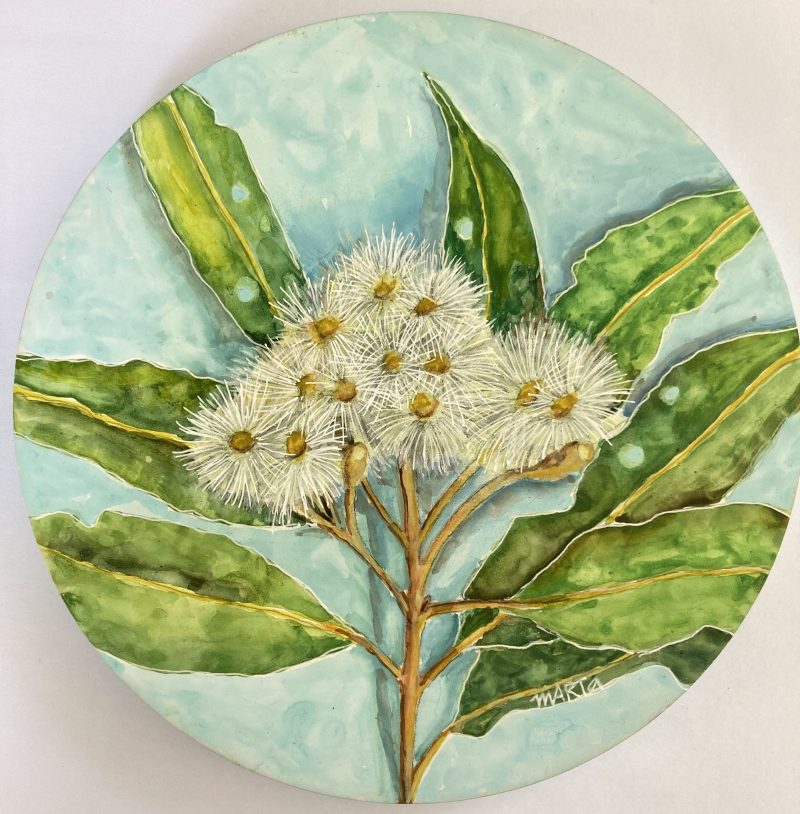 White Australian Eucalyptus Flowers – SOLD