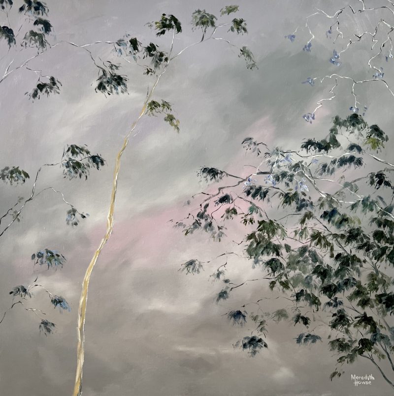 Illumination of Blue Gum and Jacaranda