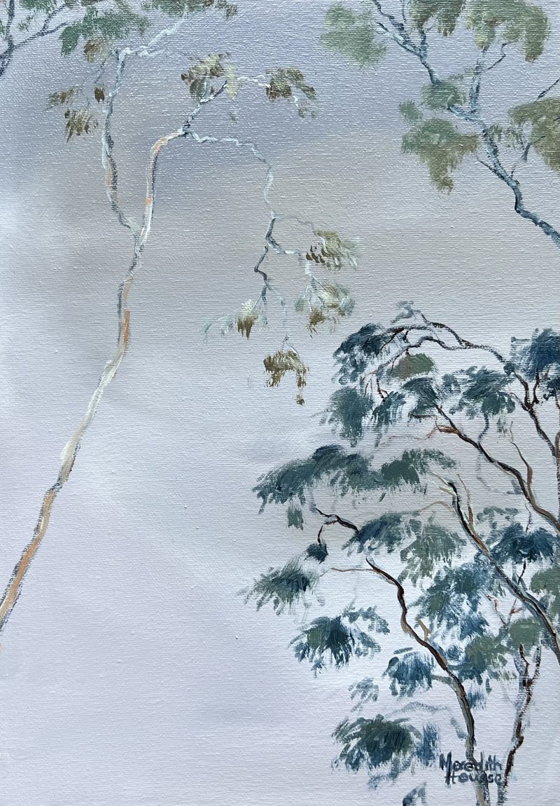 Illumination Grey Bark